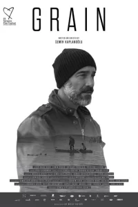 Зерно турецкий сериал