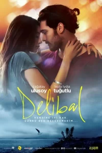 Дикий мёд турецкий сериал